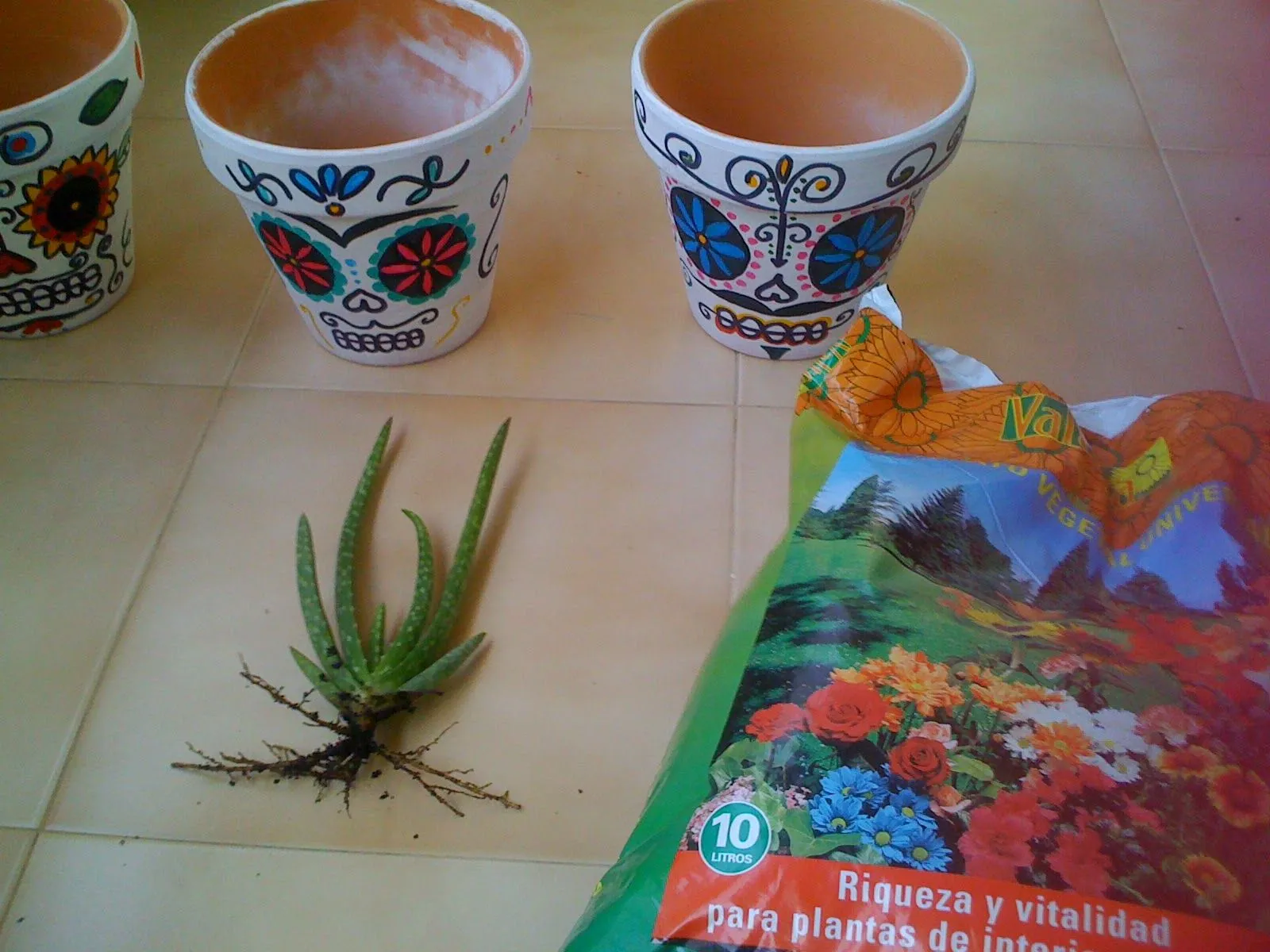 DIY Maceta Calavera Sugar Skull, Día de Muertos, Halloween | La ...