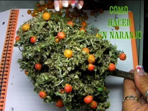 DIY COMO HACER UN NARANJO PARA EL BELÉN, PESEBRE - HOW TO MAKE AN ... DIY COMO HACER UN NARANJO PARA EL BELÉN, PESEBRE - HOW TO MAKE AN ...