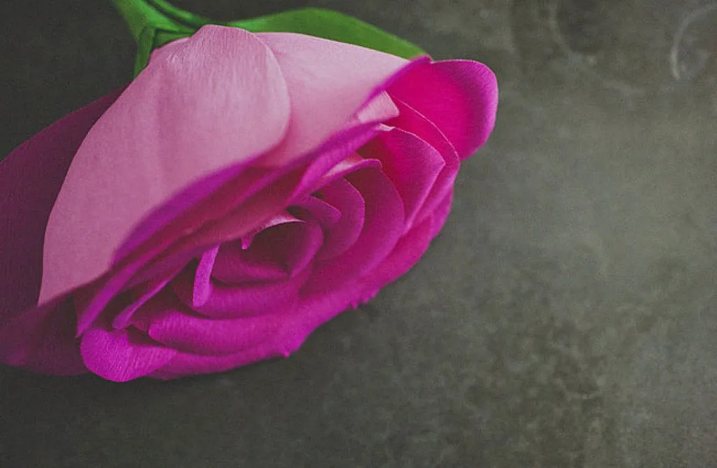diy rosa gigante de papel crepe | Aprender manualidades es facilisimo. diy rosa gigante de papel crepe | Aprender manualidades es facilisimo.
