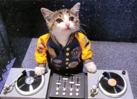 El DJ "Don Gato" | Flickr - Photo Sharing!