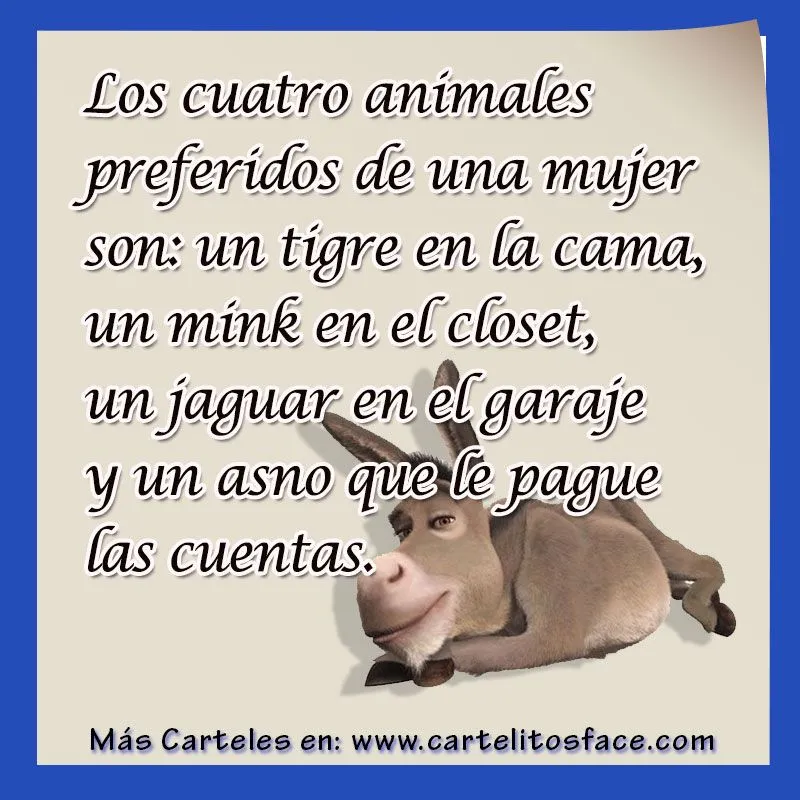 Los-cuatro-animales-preferidos ... Los-cuatro-animales-preferidos ...