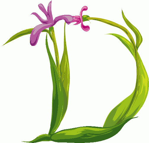 Do the “D”!! (Vitamin D) | The Savvy Sister Do the “D”!! (Vitamin D) | The Savvy Sister