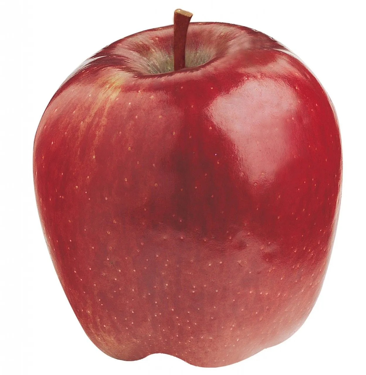  Red delicious