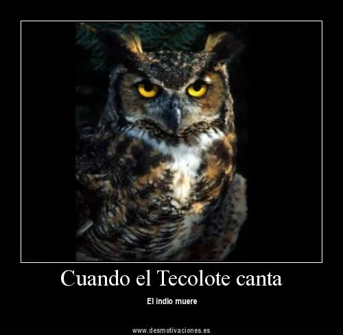Documentación 6 : Tecolote | cuentoscultosanimales Documentación 6 : Tecolote | cuentoscultosanimales