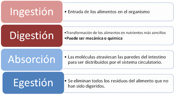 Documento sin título