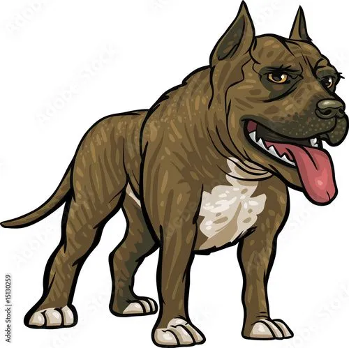 Dog Breeds: Pitbull" Imágenes de archivo y vectores libres de ... Dog Breeds: Pitbull" Imágenes de archivo y vectores libres de ...