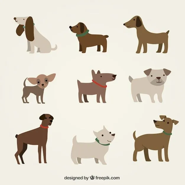 Dog Vectors, Photos and PSD files | Free Download Dog Vectors, Photos and PSD files | Free Download