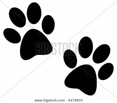 Dog Vectors, Stock Photos &amp; Illustrations | Bigstock