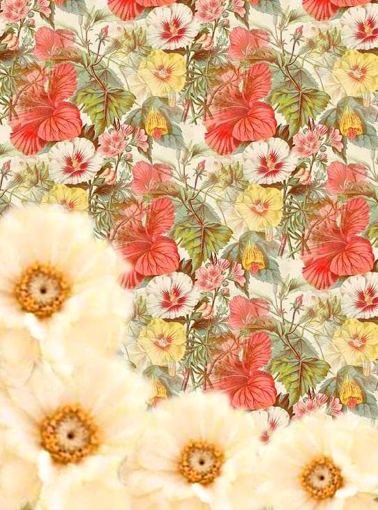 Dolce Prugne: imagenes para compartir en primavera Dolce Prugne: imagenes para compartir en primavera