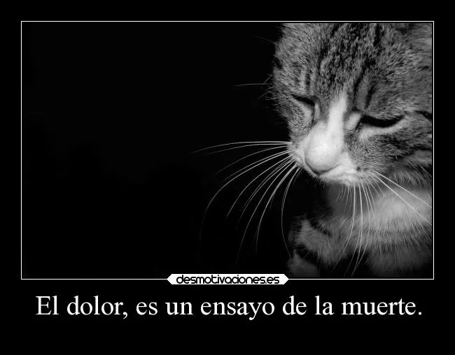 El dolor, es un ensayo de la muerte. | Desmotivaciones