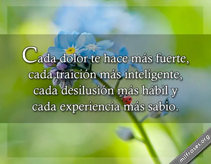 Cada dolor te hace más fuerte, cada traición más inteligente ... Cada dolor te hace más fuerte, cada traición más inteligente ...