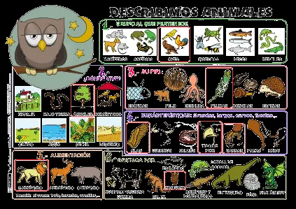 DOLORES NAVAS PÉREZ: Descripciones