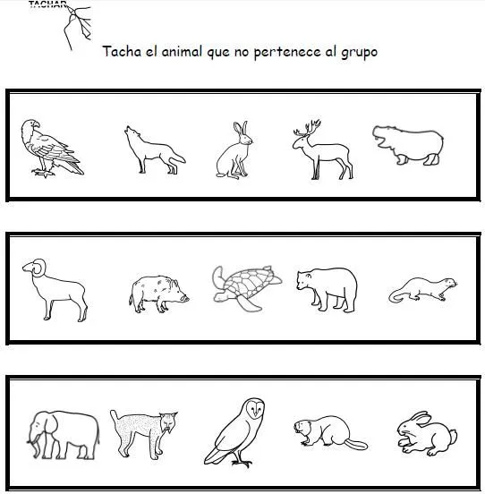 DOLORES NAVAS PÉREZ: Unidad didáctica de "Los animales" DOLORES NAVAS PÉREZ: Unidad didáctica de "Los animales"