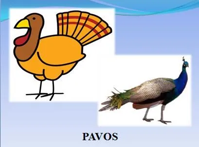 DOLORES NAVAS PÉREZ: Unidad didáctica de "Los animales"