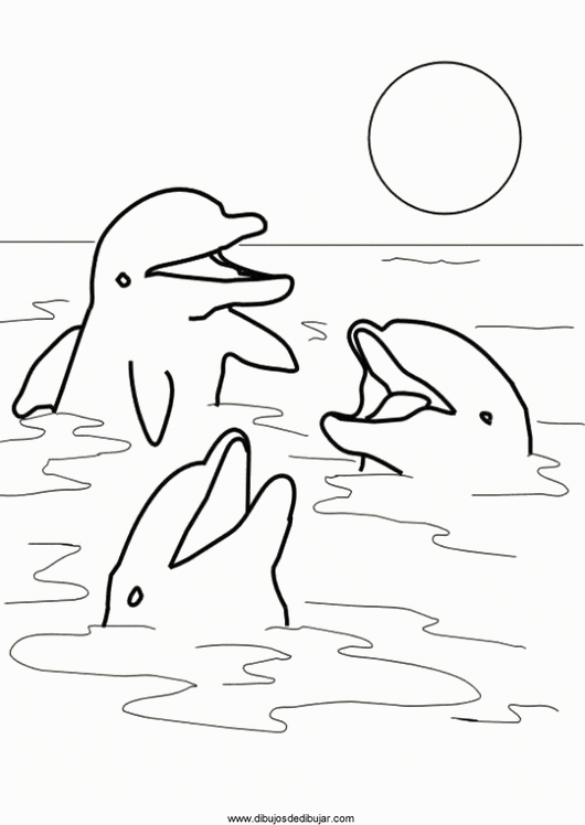 dolphins-coloring-011 | Dibujos de dibujarDibujos de dibujar dolphins-coloring-011 | Dibujos de dibujarDibujos de dibujar