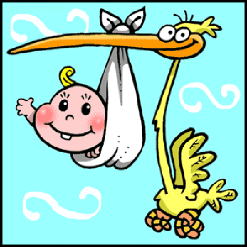 domingo 20 de febrero de 2011 domingo 20 de febrero de 2011