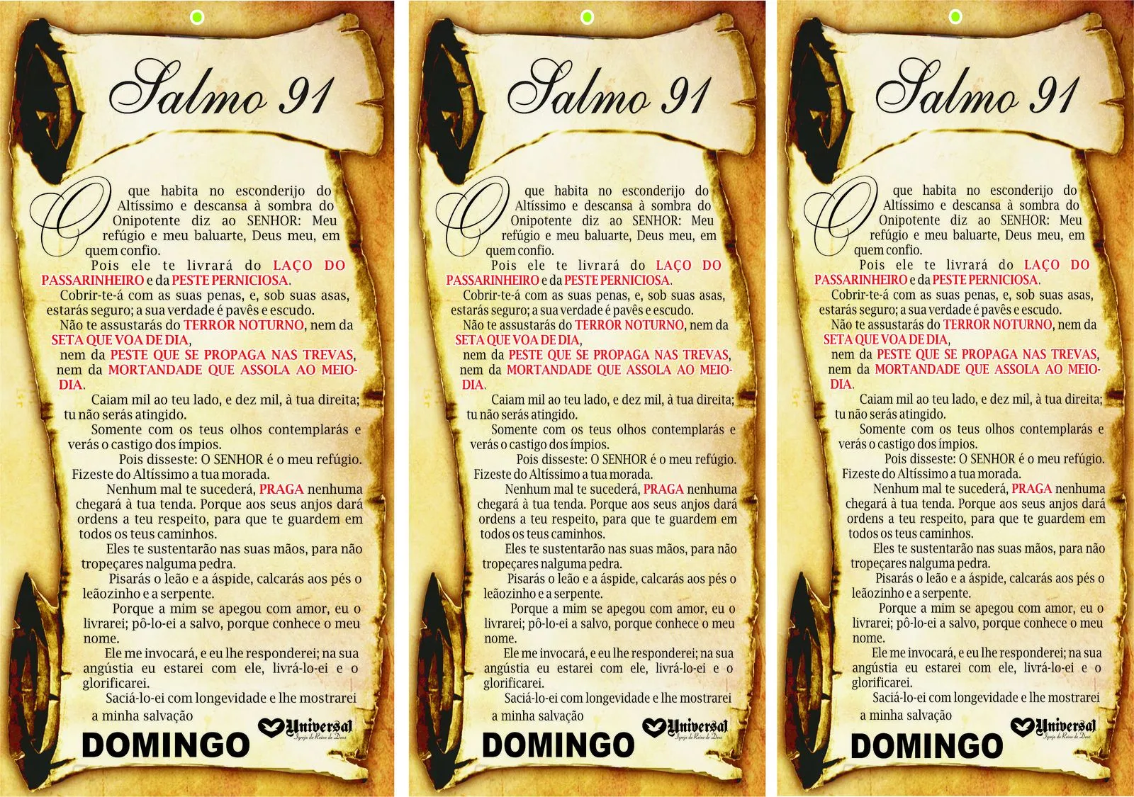 Domingo Salmo 91 Picture Pictures