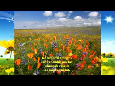 Doña primavera, poema y flores - Gabriela Mistral - tube1927 - YouTube Doña primavera, poema y flores - Gabriela Mistral - tube1927 - YouTube