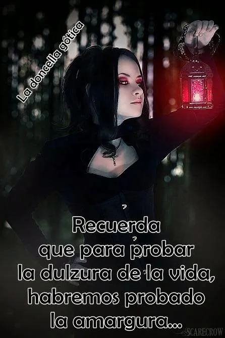 la doncella gótica †: ๑۩۞۩๑ Frases góticas ๑۩۞۩๑