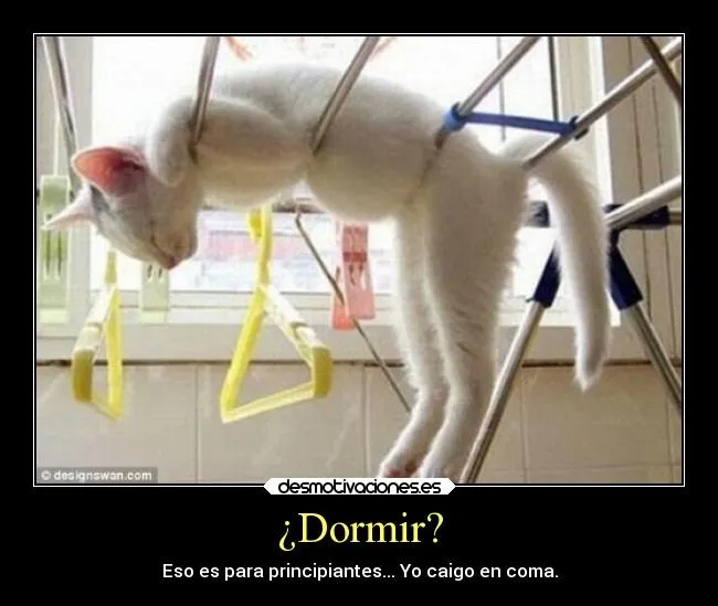 Dormir? | Desmotivaciones