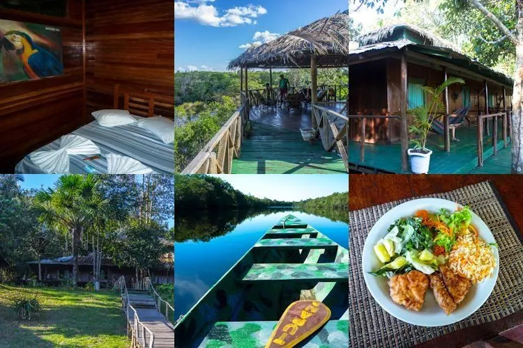 Dormir en un hotel en la selva amazónica: Amazon Tupana Lodge