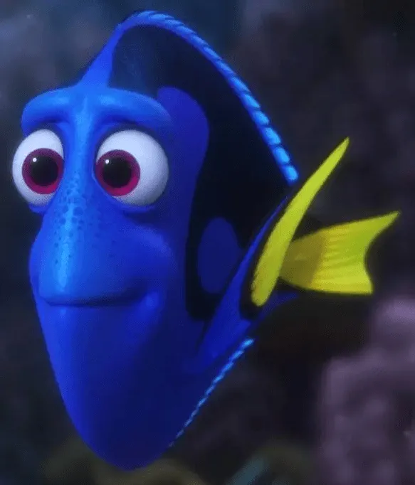 Dory | Disney Wiki | Fandom