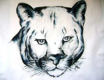 Pumas para dibujar - Imagui