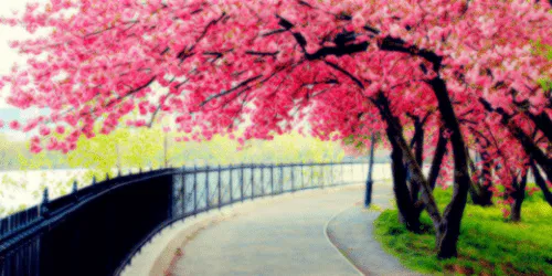 Down to Heaven : Twitter Headers