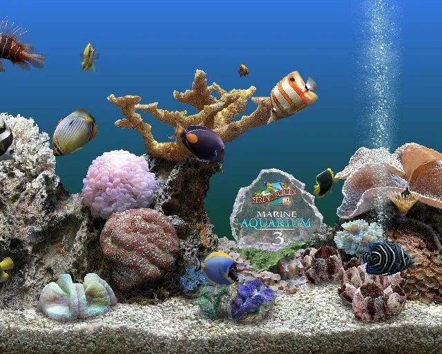 download acquario » Sfondissimo | Sfondi & Screensaver Gratis