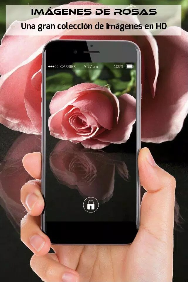Download do APK de imagenes de rosas hermosas flores rojas de amor para Android Download do APK de imagenes de rosas hermosas flores rojas de amor para Android