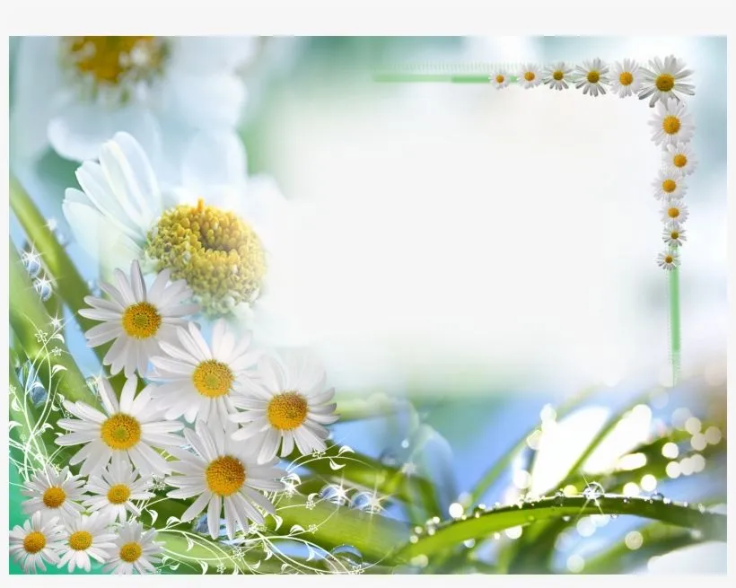Download Fondos Para Bodas Gratis Png Clipart Desktop - Marcos De Fotos De Paisajes Transparent PNG - 900x675 - Free Download on NicePNG Download Fondos Para Bodas Gratis Png Clipart Desktop - Marcos De Fotos De Paisajes Transparent PNG - 900x675 - Free Download on NicePNG