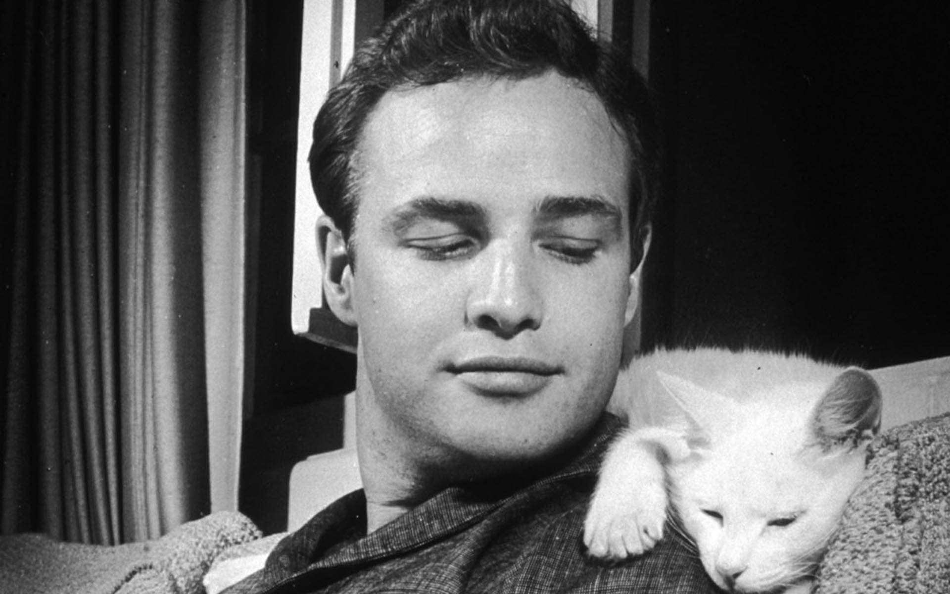 Download Young Marlon Brando Sitting With White Cat Wallpaper | Wallpapers.com