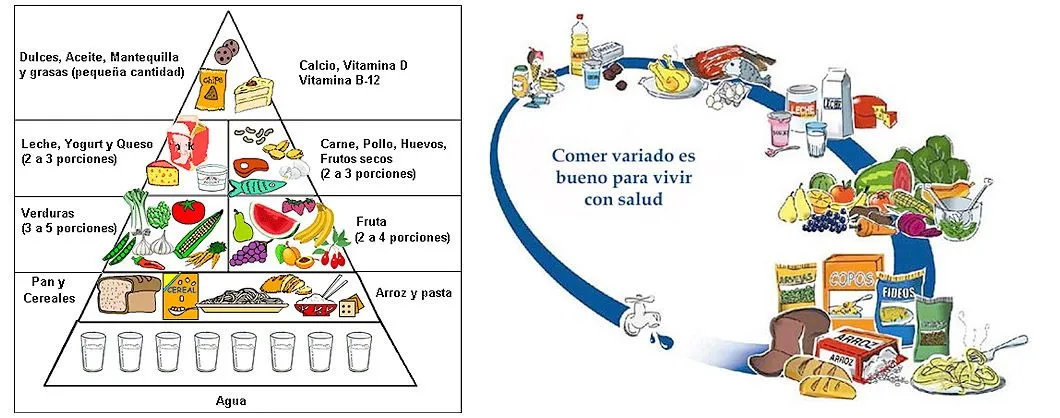 Dr Sergio Fabian Altamirano | Alimentación