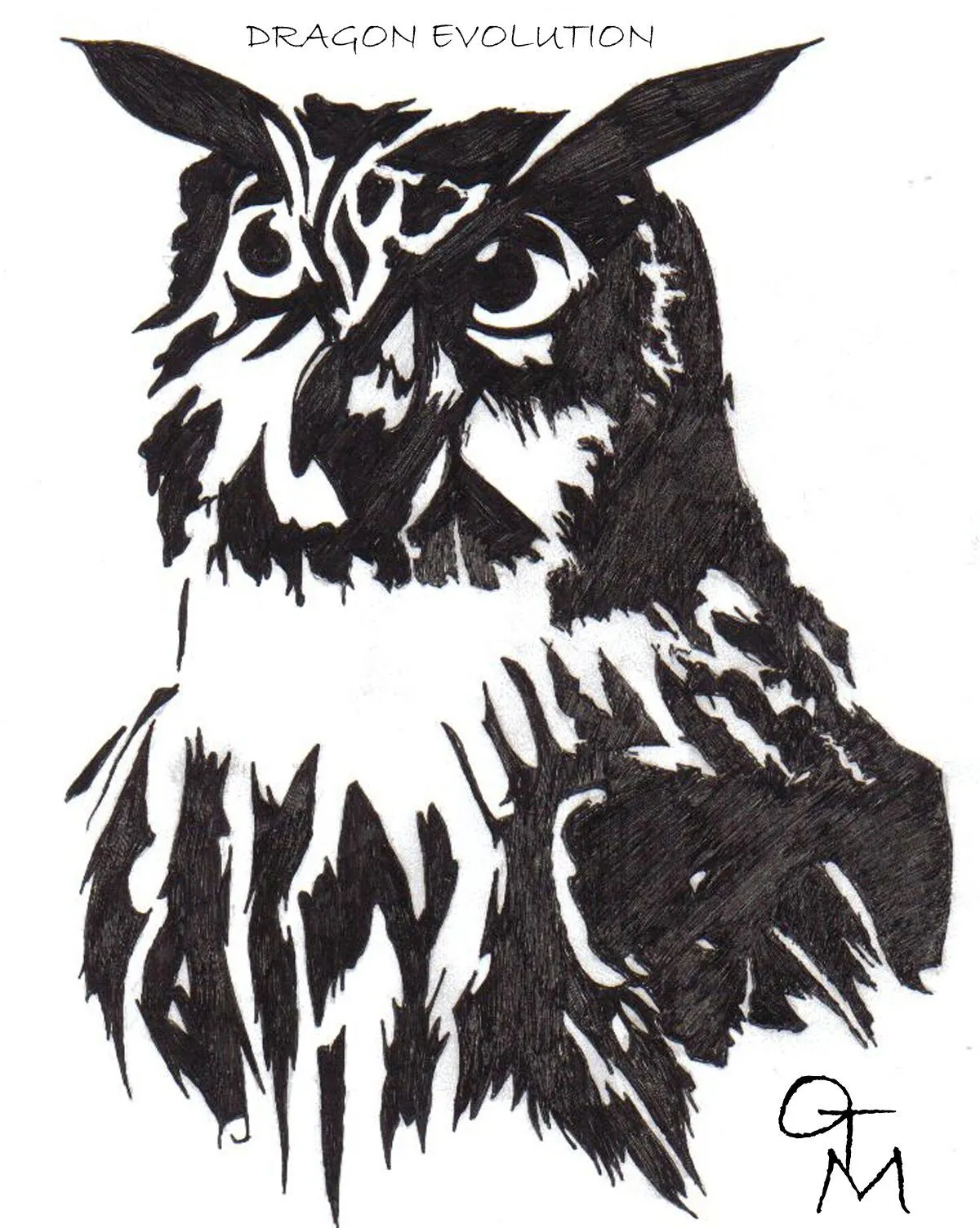 DRAGON EVOLUTION: TINTA CHINA