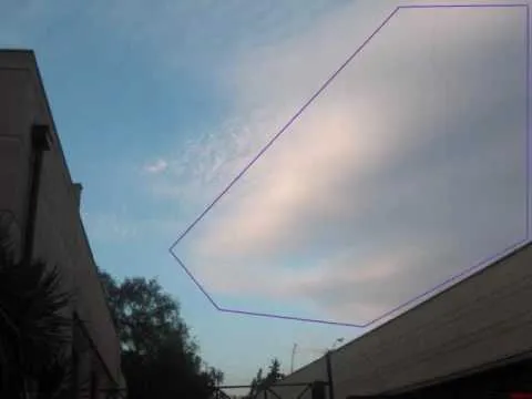Dragones reales en el mundo - Imagui