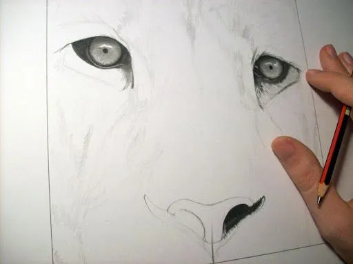 Drawing of lion finished / Dibujo de león terminado | Luis María ... Drawing of lion finished / Dibujo de león terminado | Luis María ...