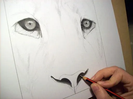 Drawing of lion finished / Dibujo de león terminado | Luis María ...