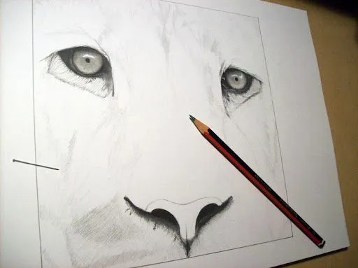Drawing of lion finished / Dibujo de león terminado | Luis María ... Drawing of lion finished / Dibujo de león terminado | Luis María ...