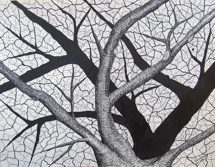 Drawing - Trees / Dibujos - Árboles on Pinterest | China ... Drawing - Trees / Dibujos - Árboles on Pinterest | China ...