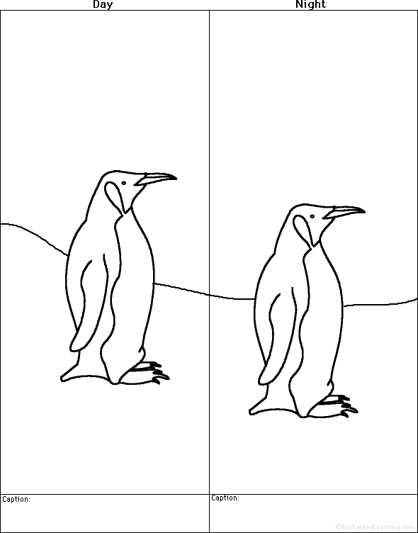 Drawing Worksheets: Birds at EnchantedLearning. Drawing Worksheets: Birds at EnchantedLearning.