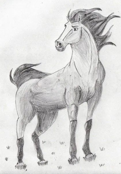 Drawings: SPIRIT, el corcel indomable