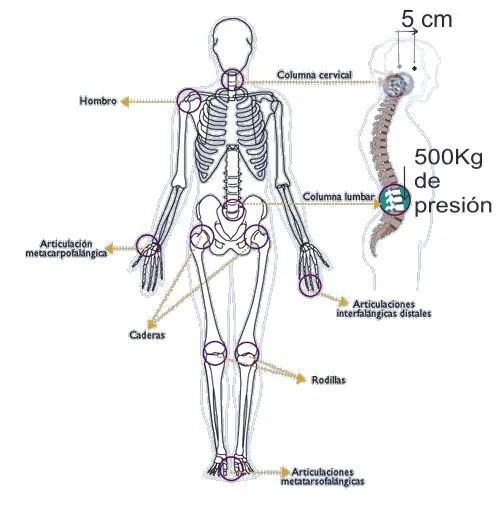 Dreamdiana » 2013 » enero