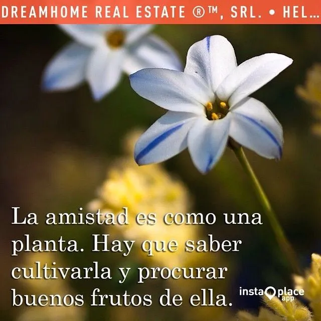 DREAMHOME REAL ESTATE®™, SRL. — Con este precioso mensaje d la ...