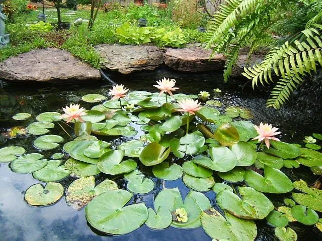 DSCF0316.JPG