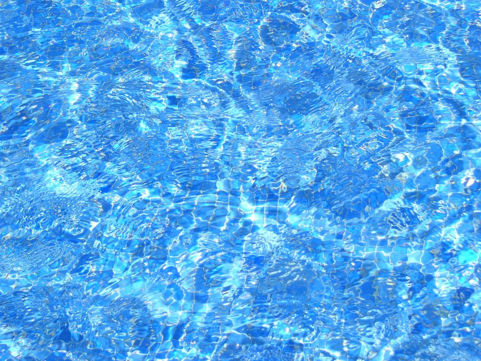 DSCN4461.JPG DSCN4461.JPG