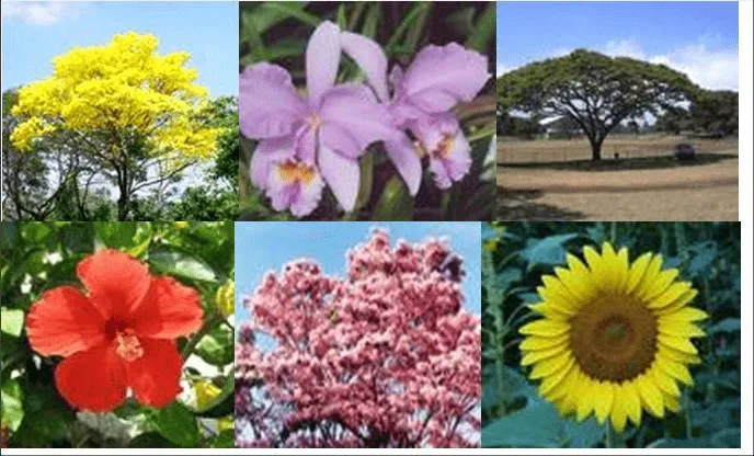 dsjfoiwufiowr.png dsjfoiwufiowr.png