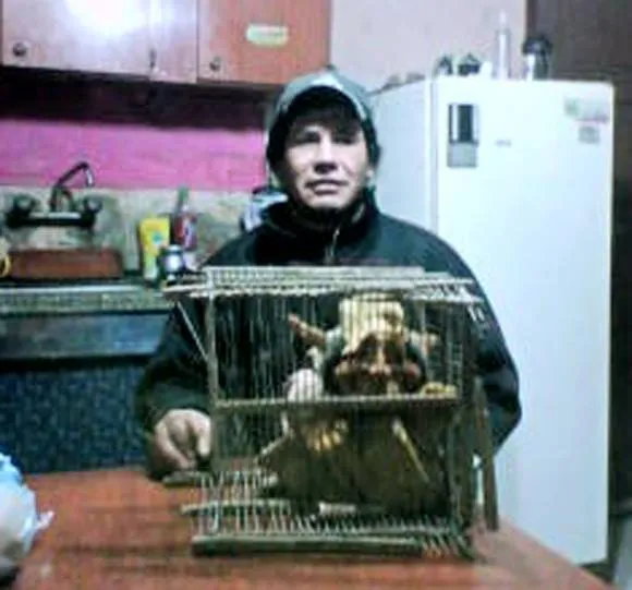 Un duende, o algo, cobró vida en San Juan | :: MAGIA CRITICA :: Un duende, o algo, cobró vida en San Juan | :: MAGIA CRITICA ::