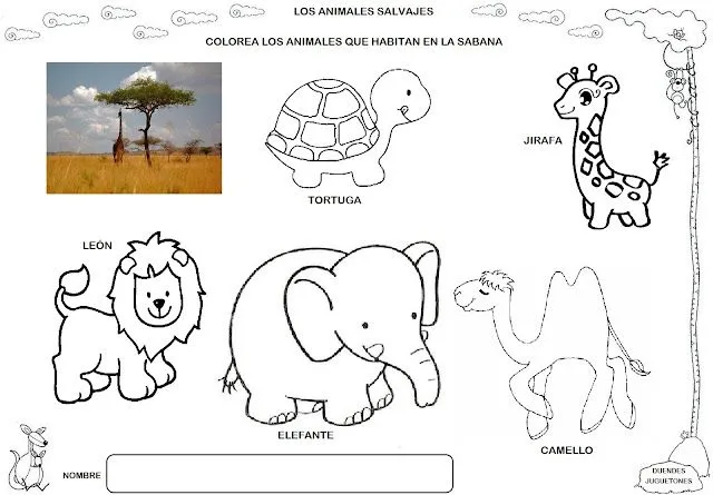 DUENDES JUGUETONES": LOS HÁBITATS DE LOS ANIMALES SALVAJES DUENDES JUGUETONES": LOS HÁBITATS DE LOS ANIMALES SALVAJES