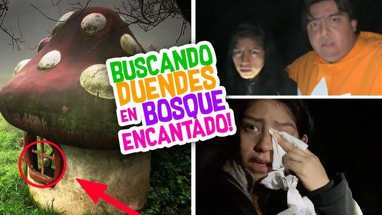 DUENDES REALES a MEDIA NOCHE en BOSQUE ENCANTADO DUENDES REALES a MEDIA NOCHE en BOSQUE ENCANTADO