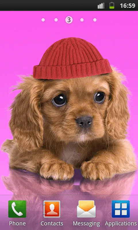 Dulce perro, perrito de vestir - Aplicaciones de Android en Google ... Dulce perro, perrito de vestir - Aplicaciones de Android en Google ...